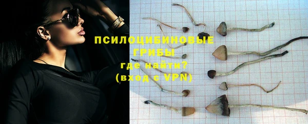 ПСИЛОЦИБИНОВЫЕ ГРИБЫ Богородск