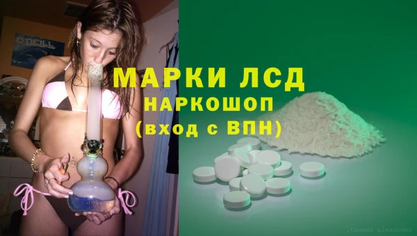 ПСИЛОЦИБИНОВЫЕ ГРИБЫ Богородск